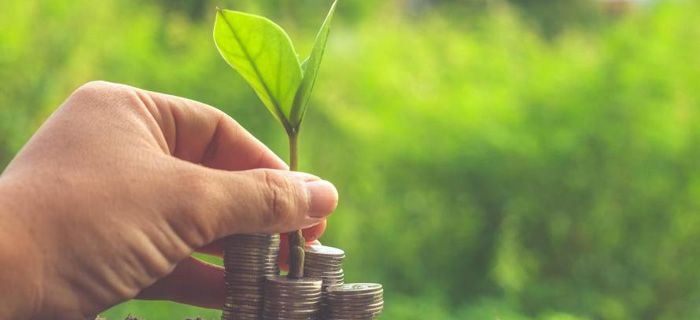 greenfield FinTechs und die großen US-amerikanischen Internetkonzerne (GAFA) setzen Banken zunehmend unter Druck. Diese könnten sich behaupten, wenn sie mit den starren Marktstrukturen brechen und ungewohnte Wege gehen.
Viele Banken haben…